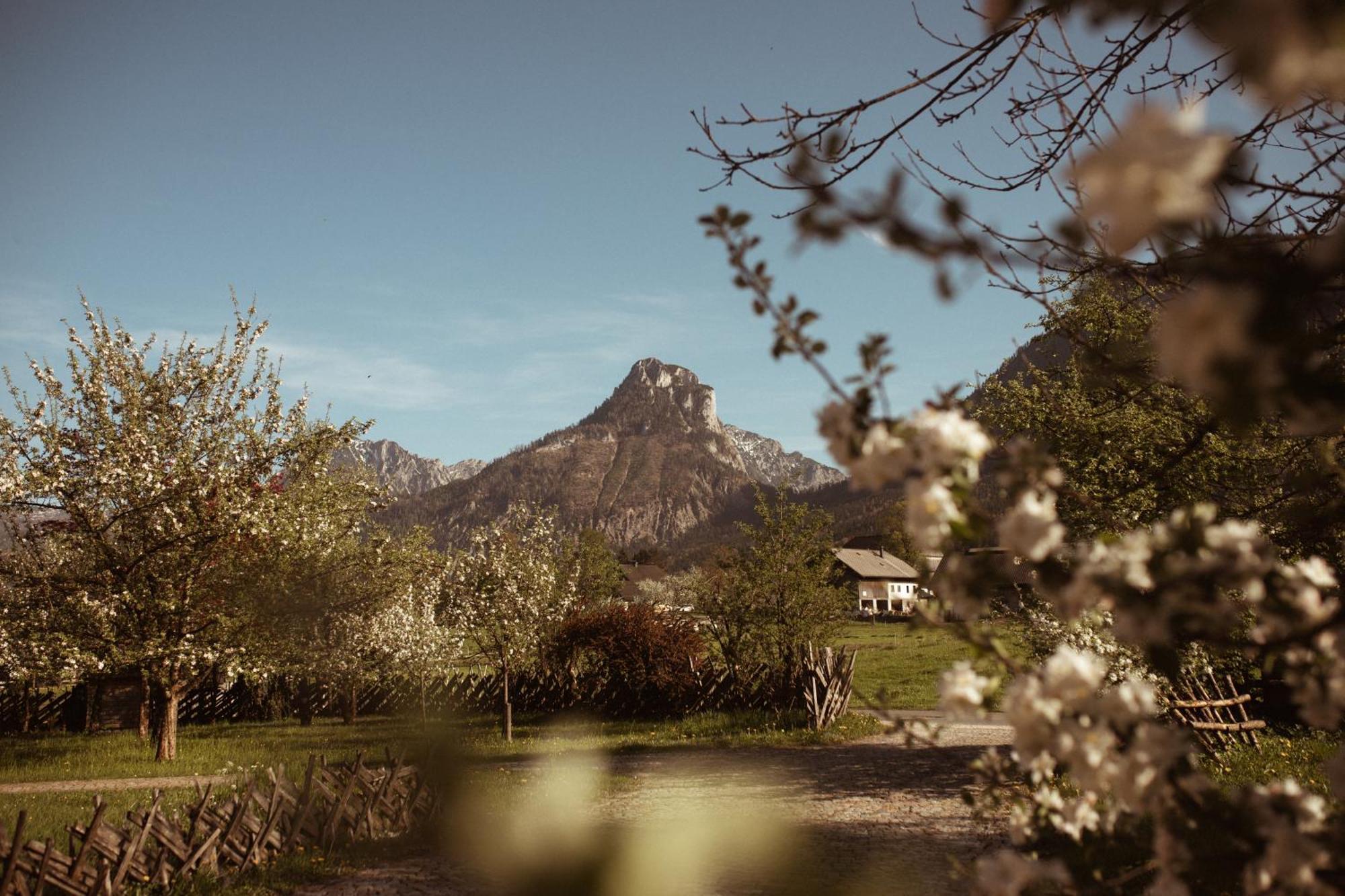 Primushaeusl Gaestehaus Strobl Dış mekan fotoğraf